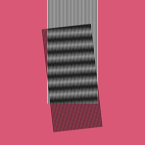 CD Hot Chip - WHY MAKE SENSE?