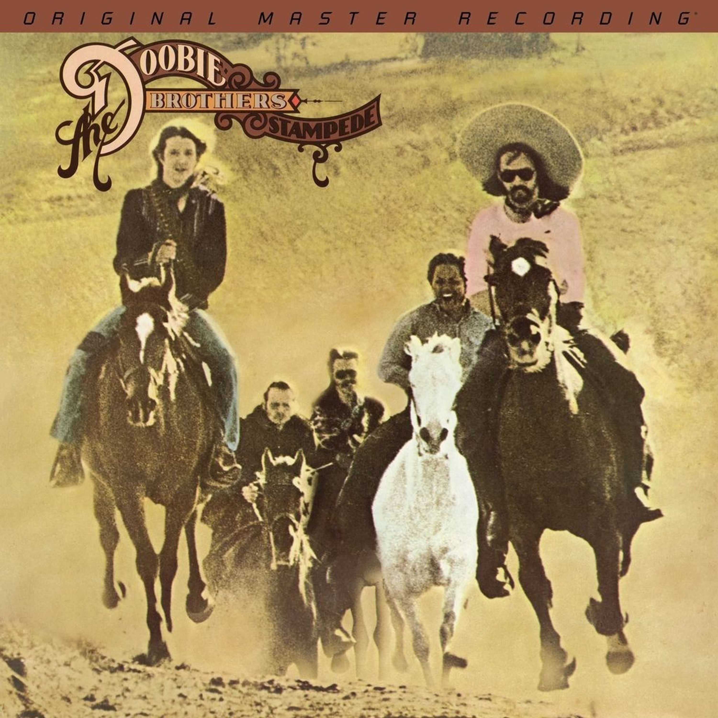 Vinyl The Doobie Brothers - STAMPEDE