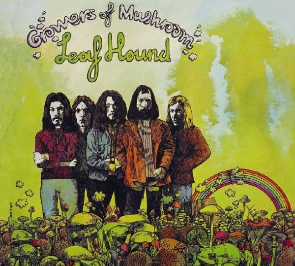 Vinyl Leaf Hound - GROWERS OF MUSHROOM