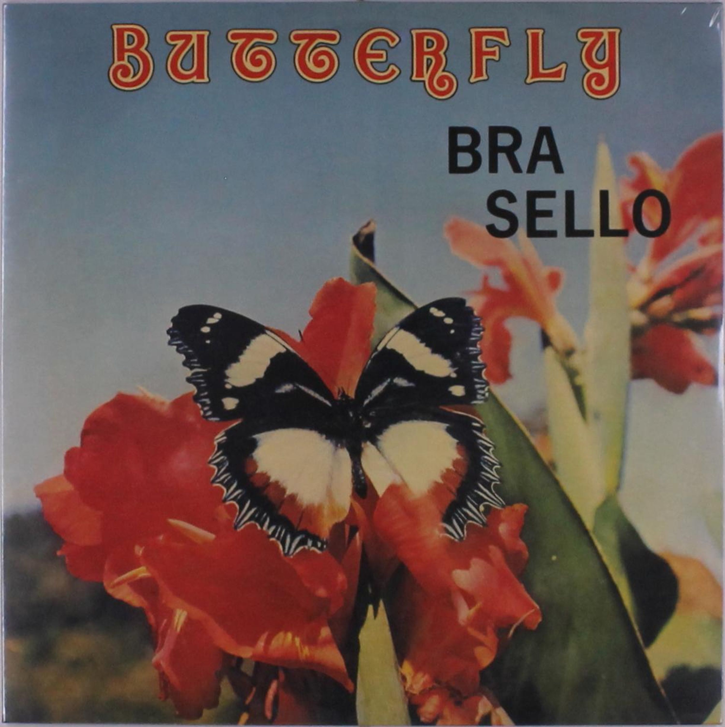 Vinyl - BUTTERFLY