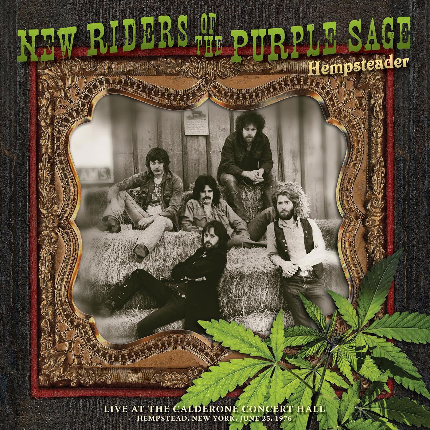 CD New Riders of the Purple Sage - HEMPSTEADER: LIVE AT THE CALDERONE CONCERT HALL, HEMPSTEAD, NEW YORK, JUNE 25, 1976