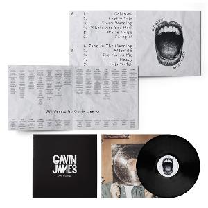 Vinyl Gavin James - Goldrush