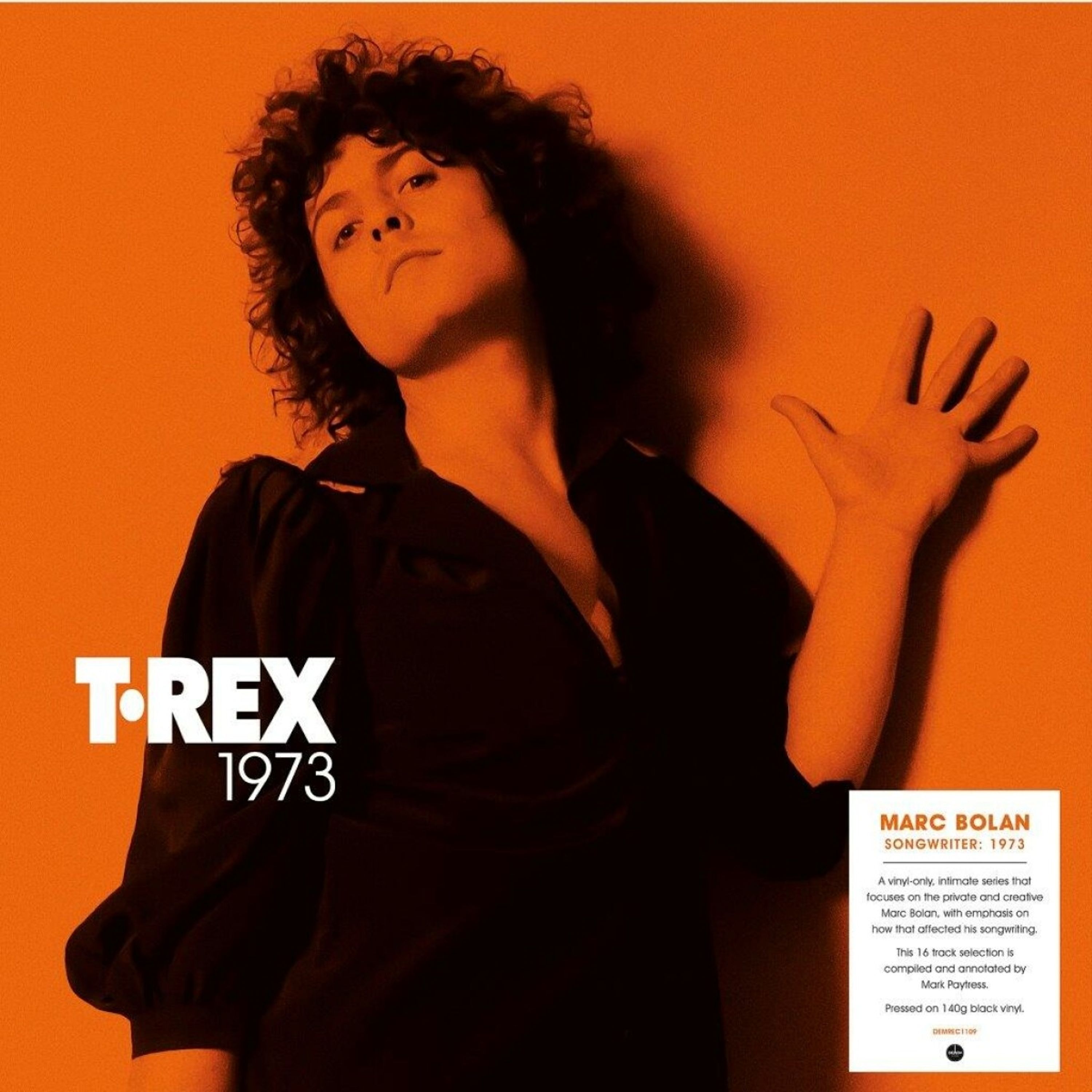 Vinyl T. Rex - SONGWRITER: 1973