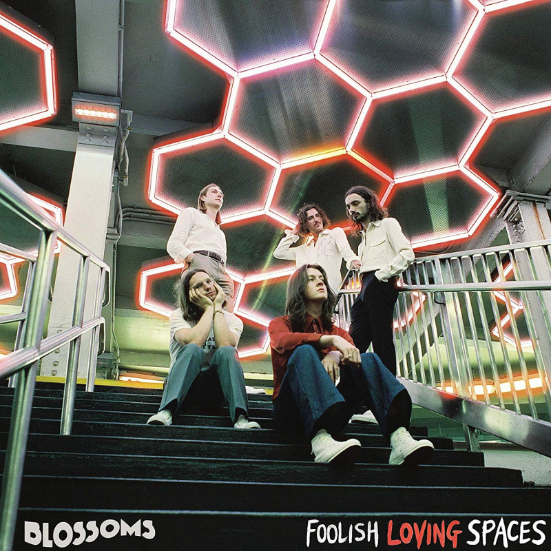 CD Blossoms - FOOLISH LOVING SPACES