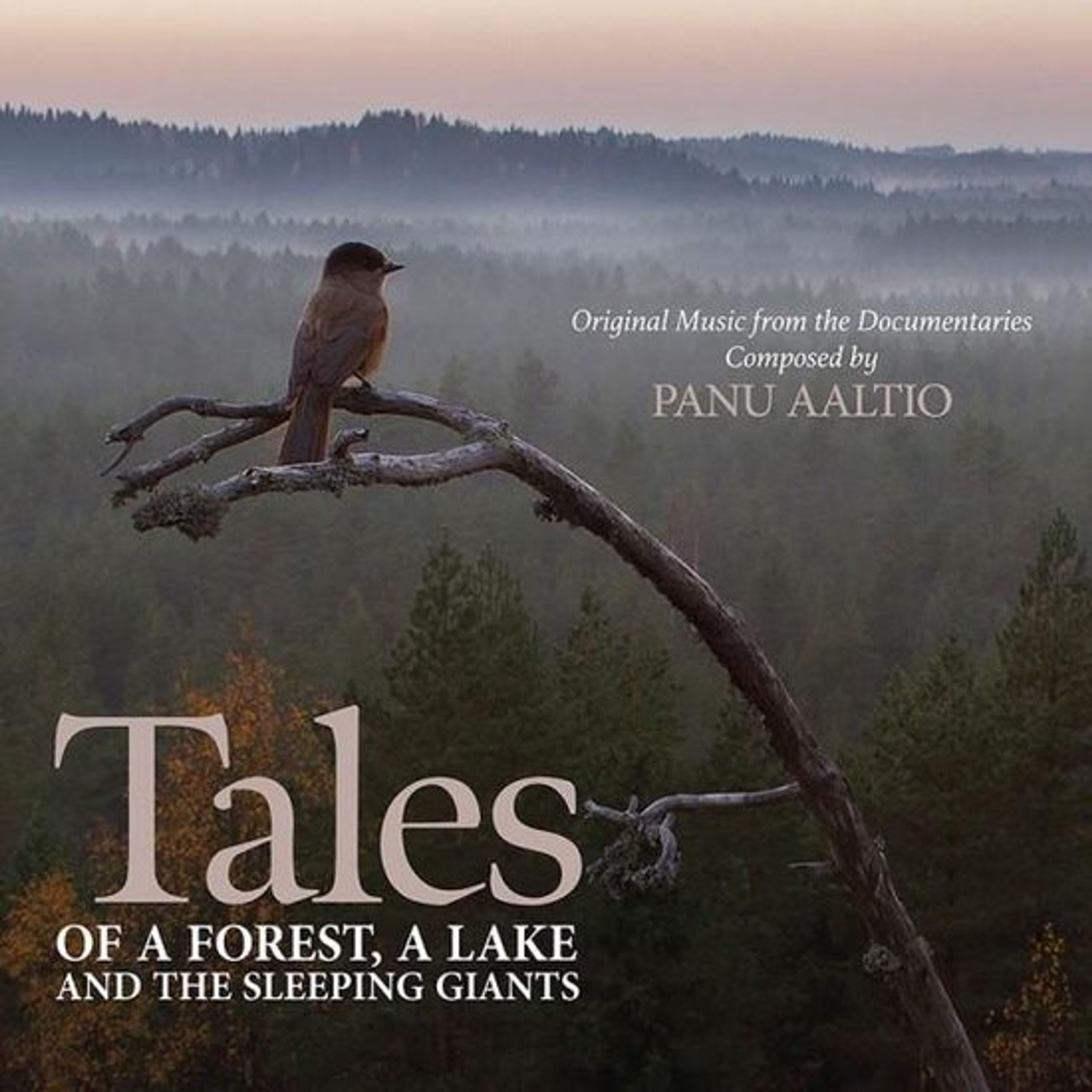 CD Panu Aaltio - TALES OF A FOREST, A LAKE AND THE SLEEPING GIANTS