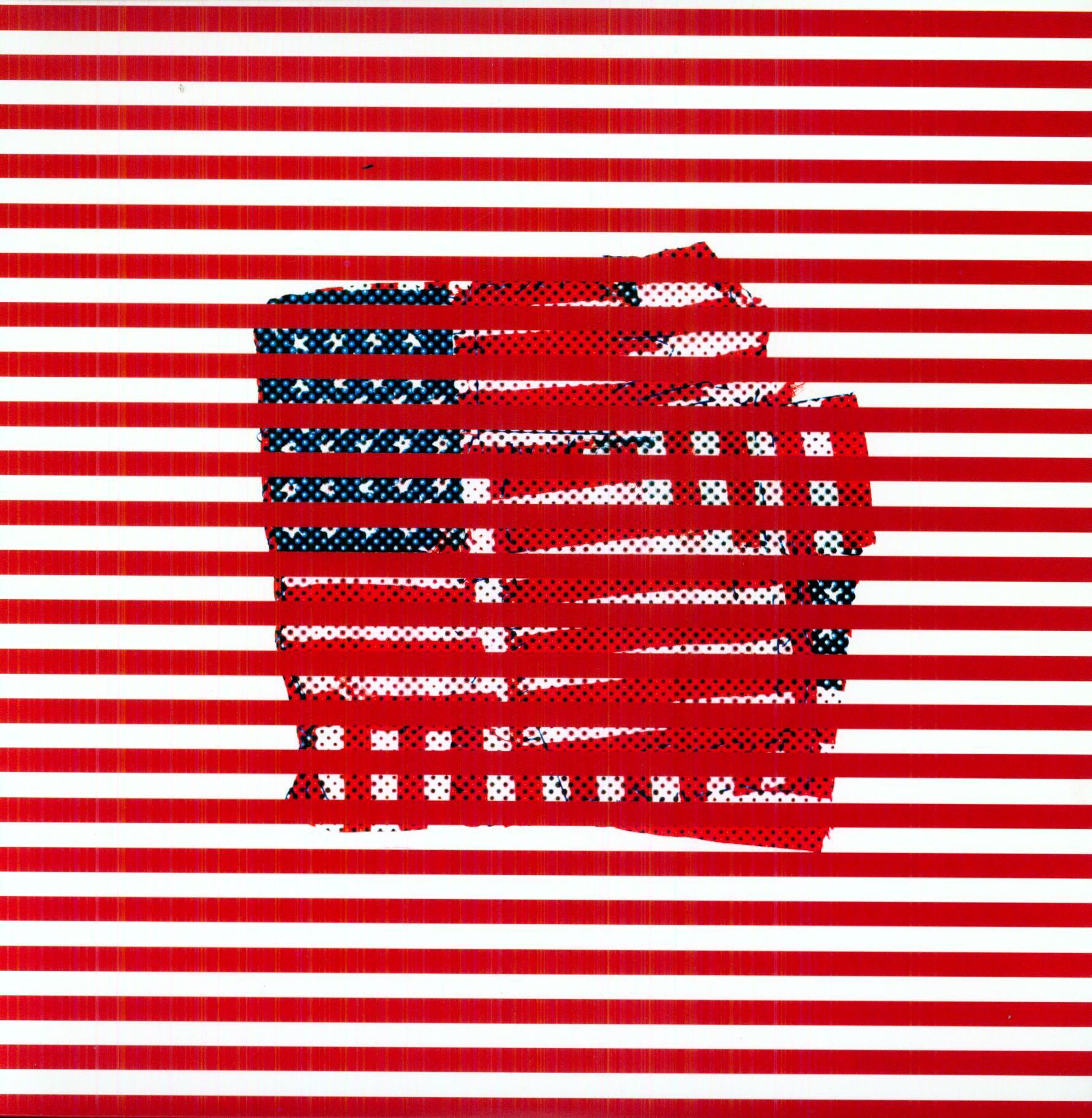 Vinyl Tortoise - STANDARDS