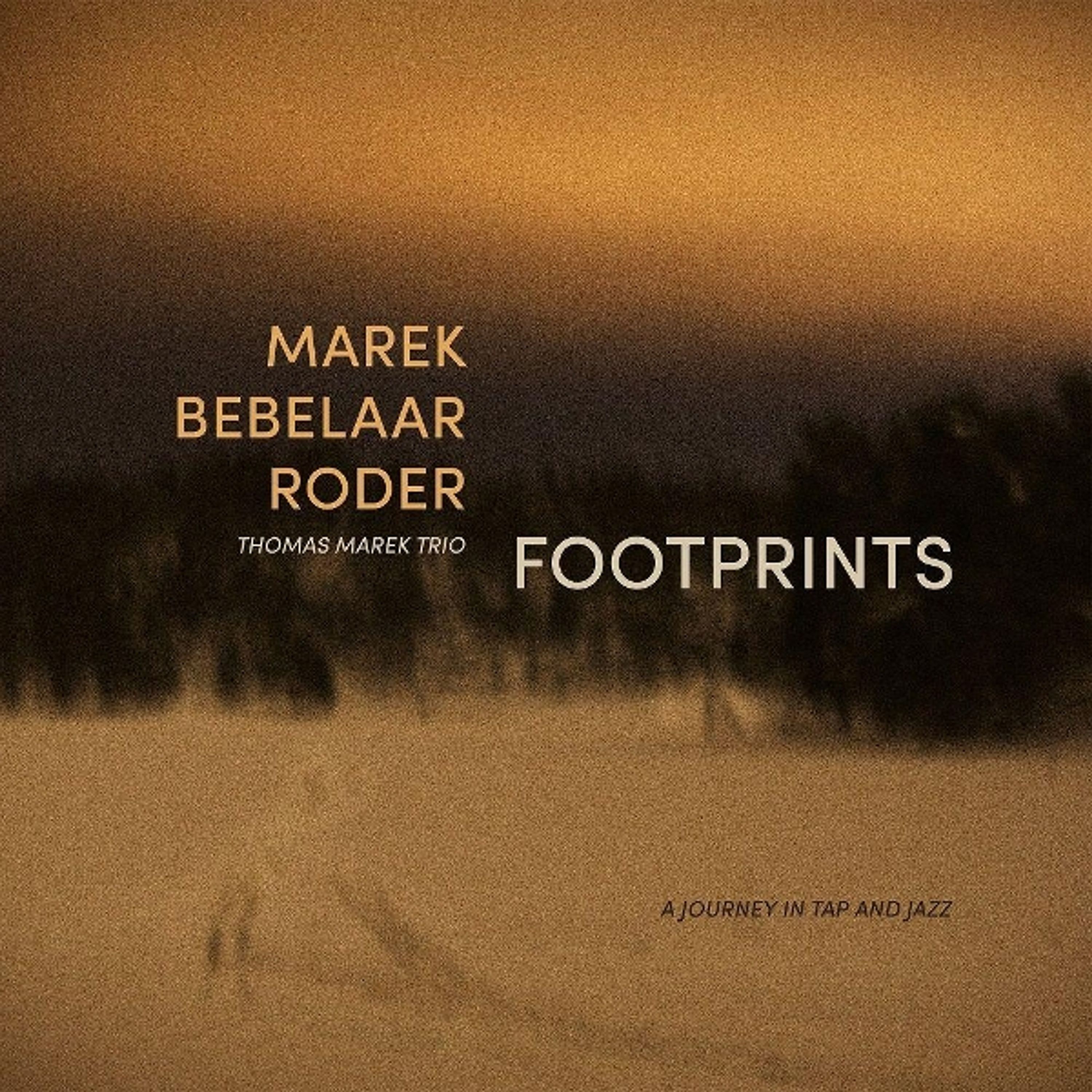 Vinyl Thomas Marek Trio - FOOTPRINTS
