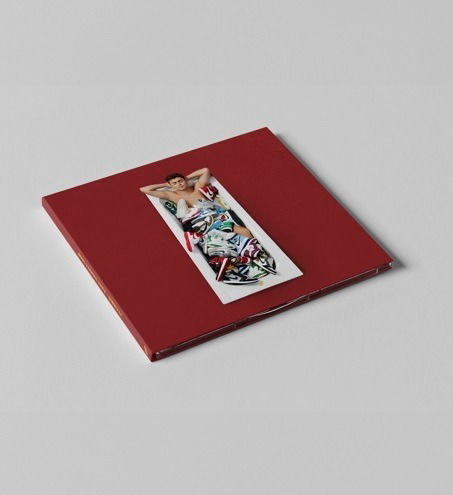 Vinyl Flemming - TWEE STAPPEN VOOR