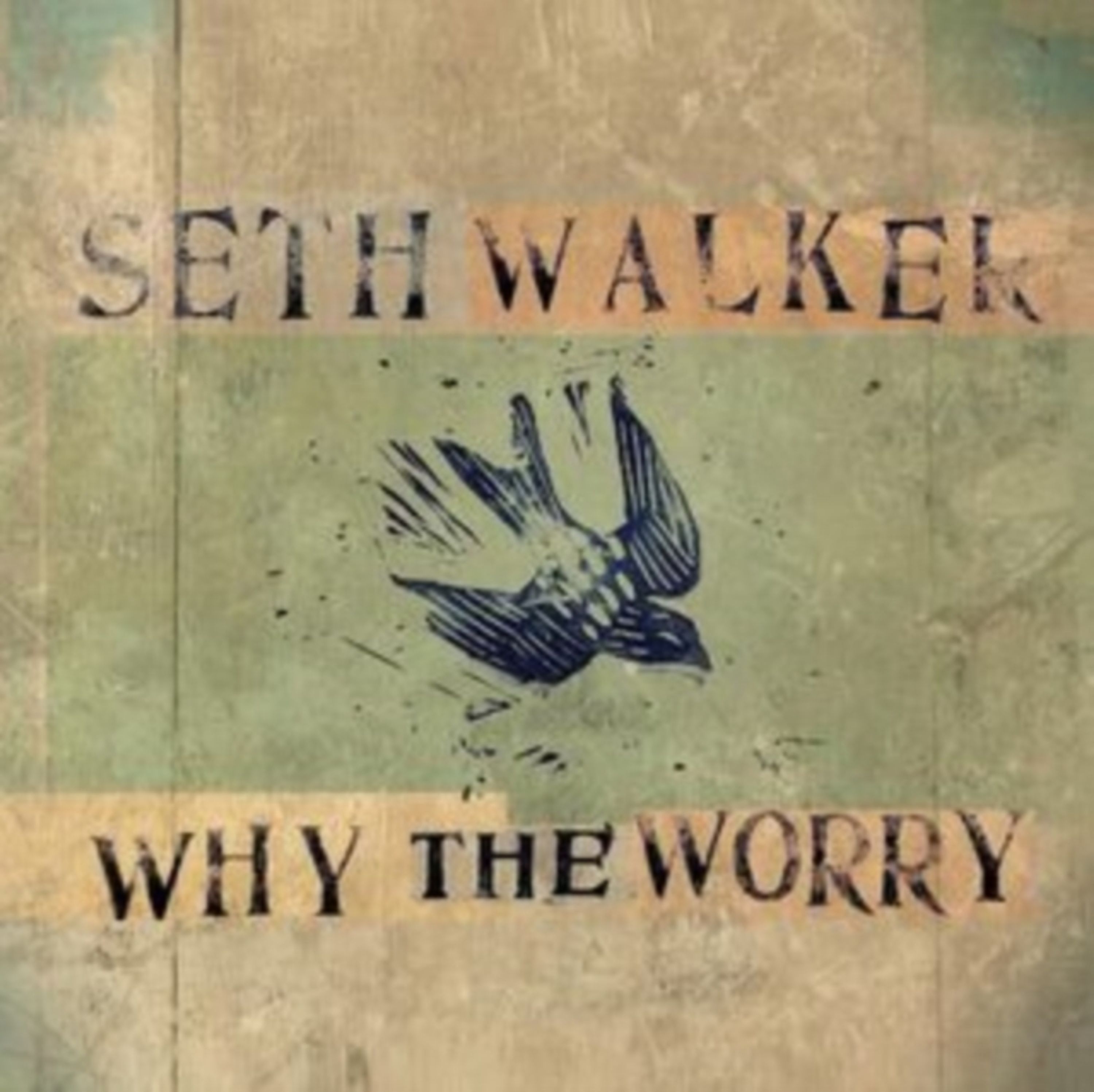 CD Seth Walker - WHY THE WORRY