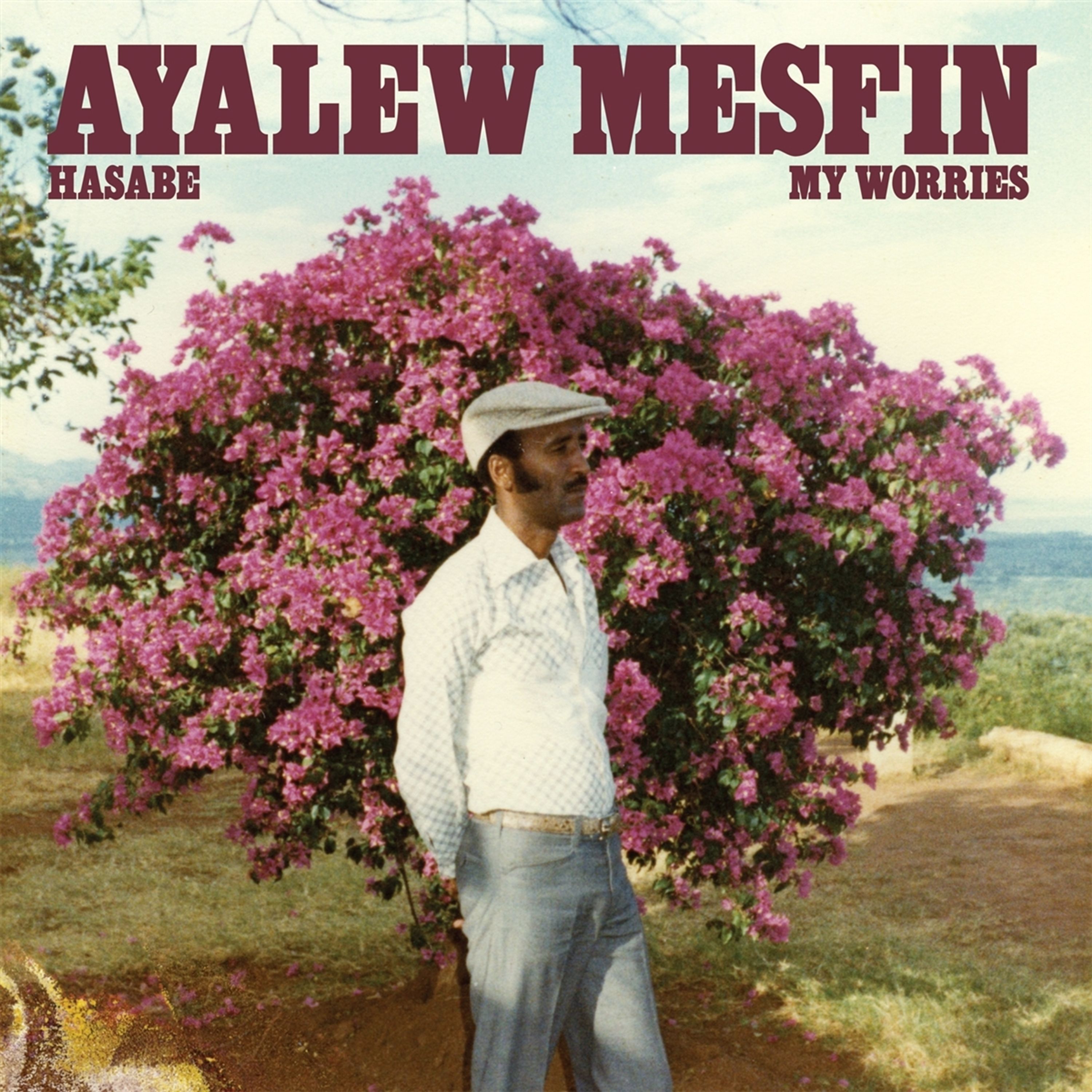 Vinyl Ayalew Mesfin - HASABE - MY WORRIES