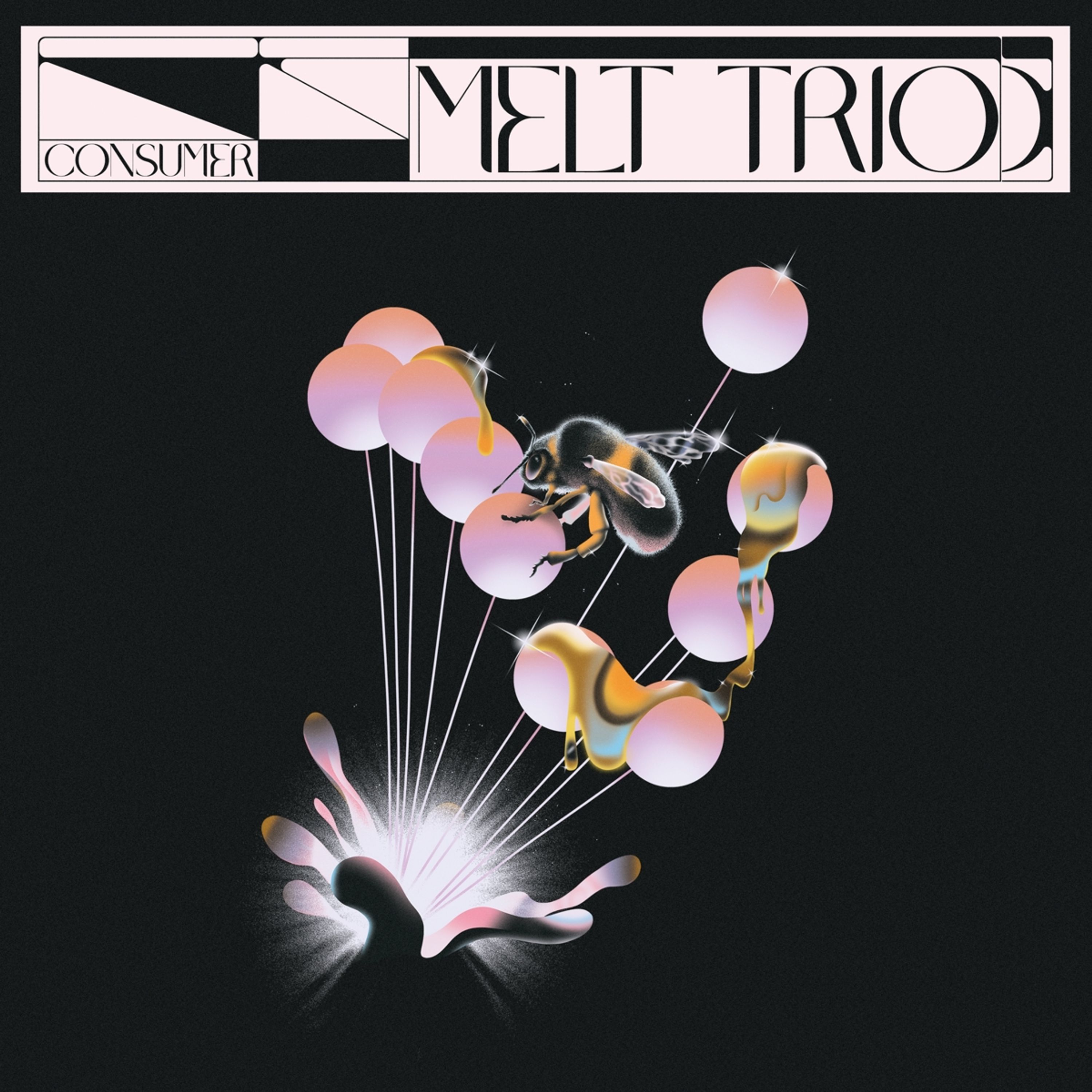 CD Melt Trio - CONSUMER