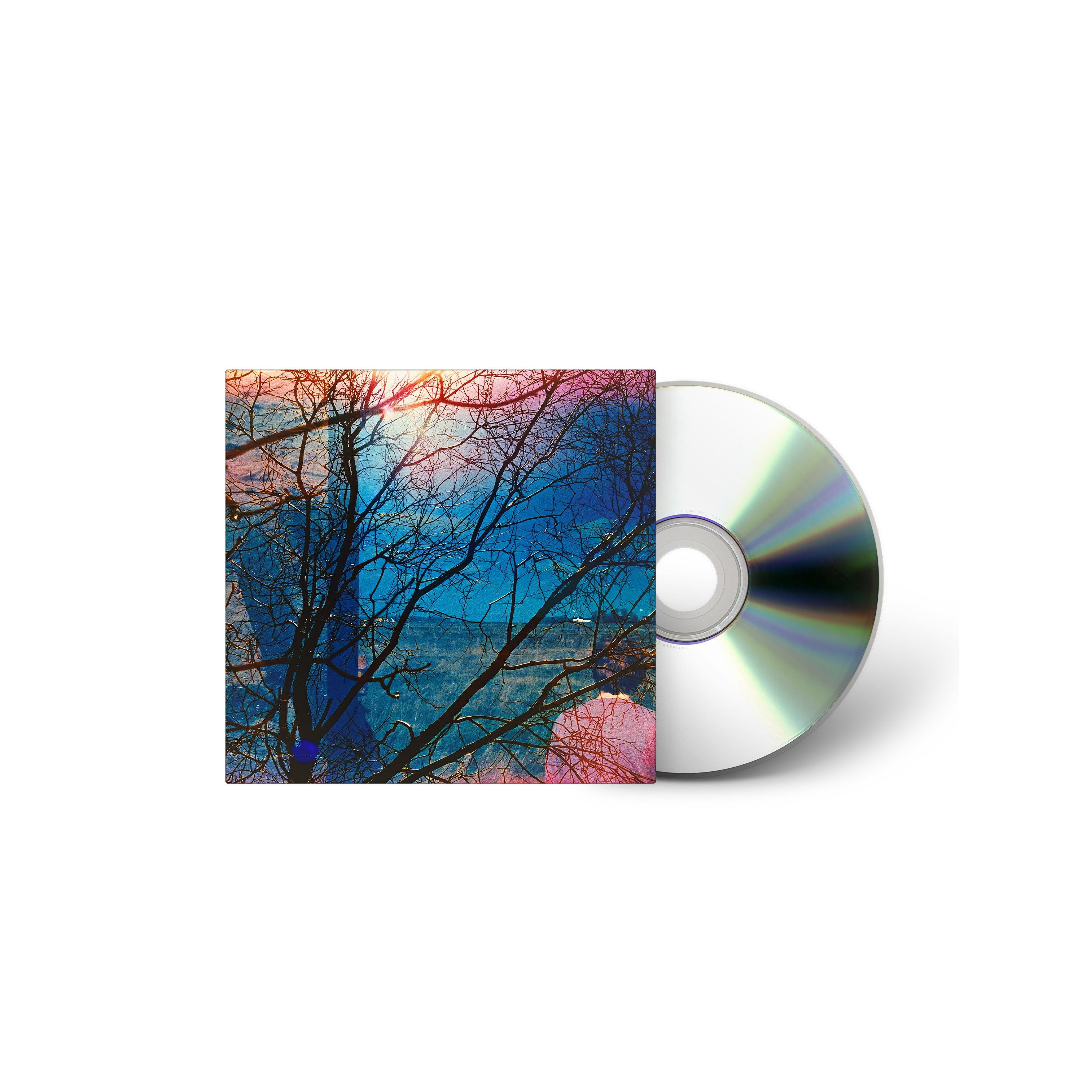CD Idlewild - IDLEWILD