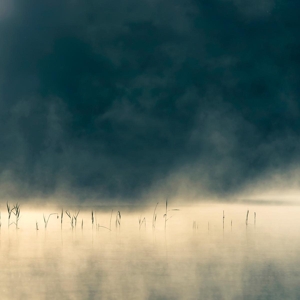 CD Oneirogen - CONVIVIUM