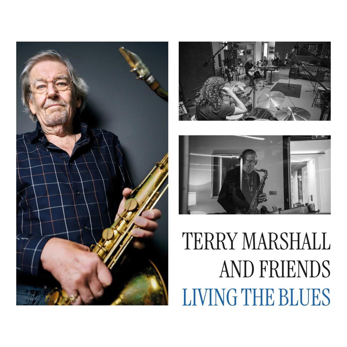 Vinyl Terry Marshall and Friends - LIVING THE BLUES