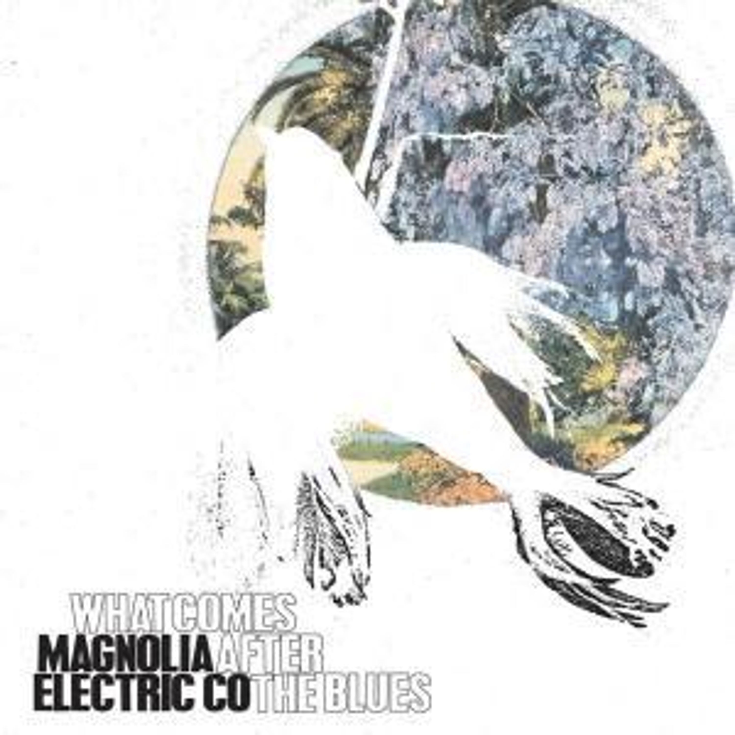 CD Magnolia Electric Co. - WHAT COMES AFTER THE BLUES