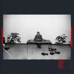 Vinyl Interpol - MARAUDER
