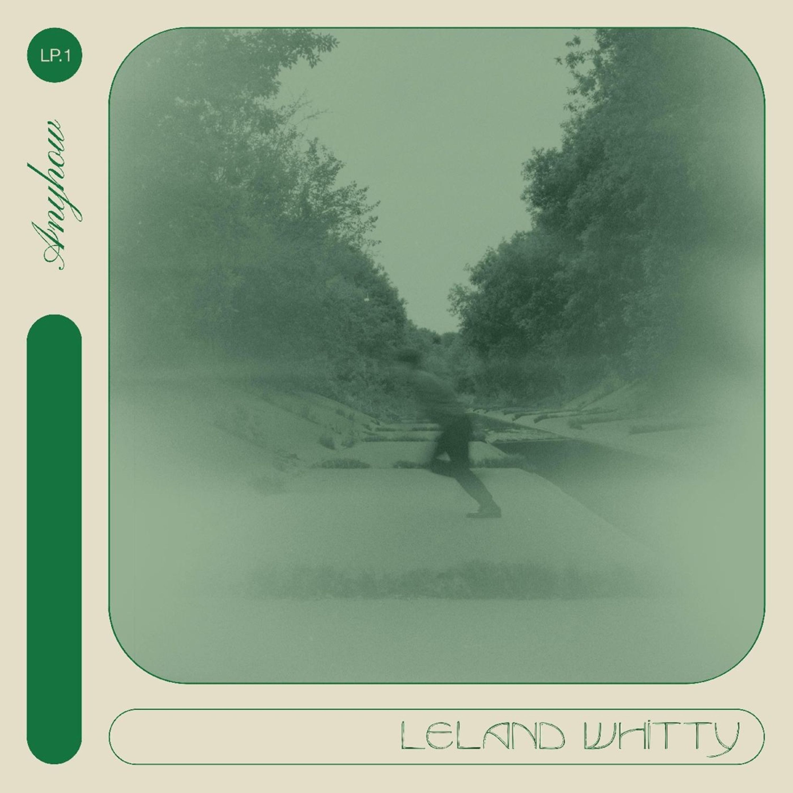 Vinyl Leland Whitty - ANYHOW