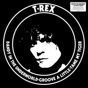 Vinyl T. Rex - DANDY IN THE UNDERWORLD