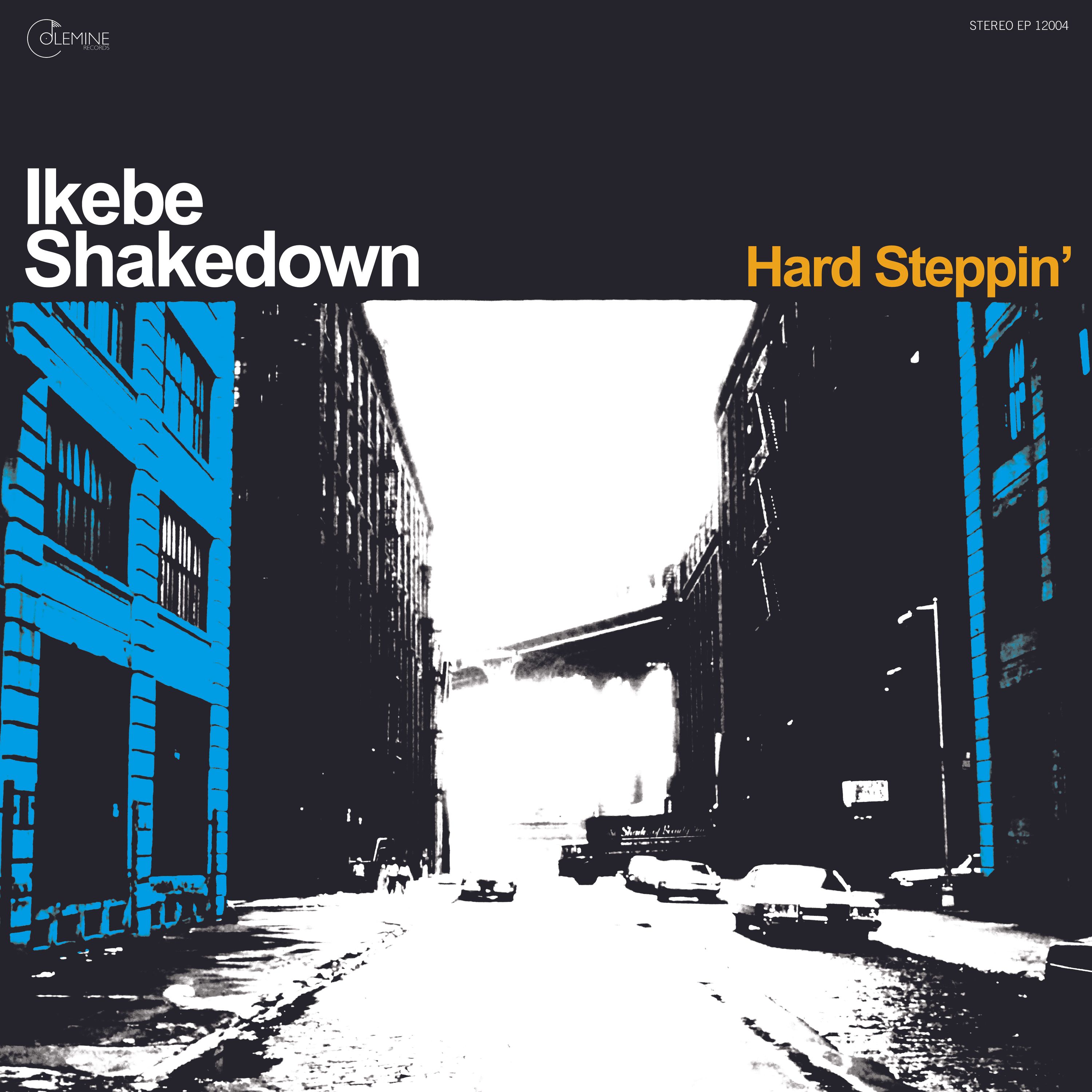 Vinyl Ikebe Shakedown - HARD STEPPIN'