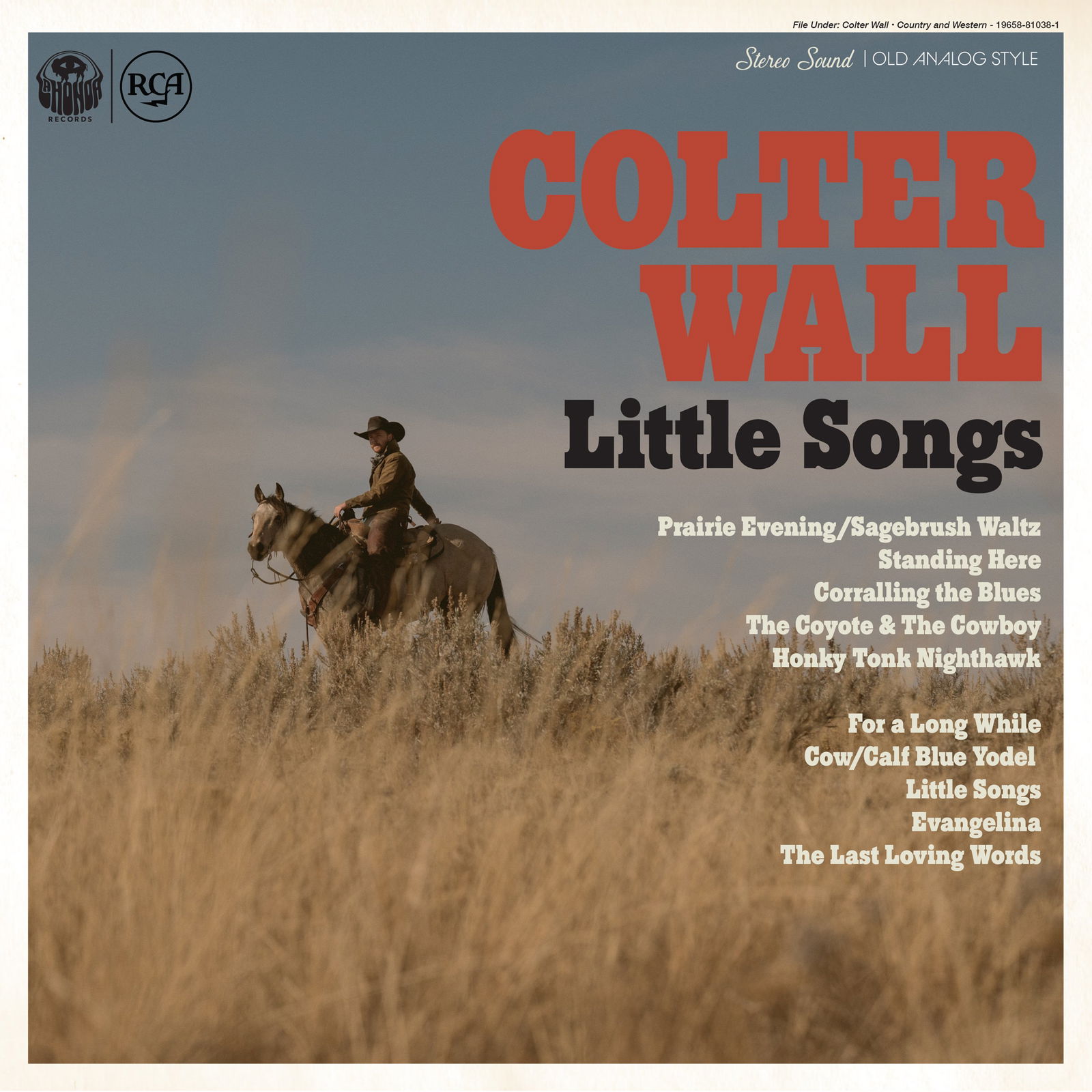 Vinyl Colter Wall - Little Songs