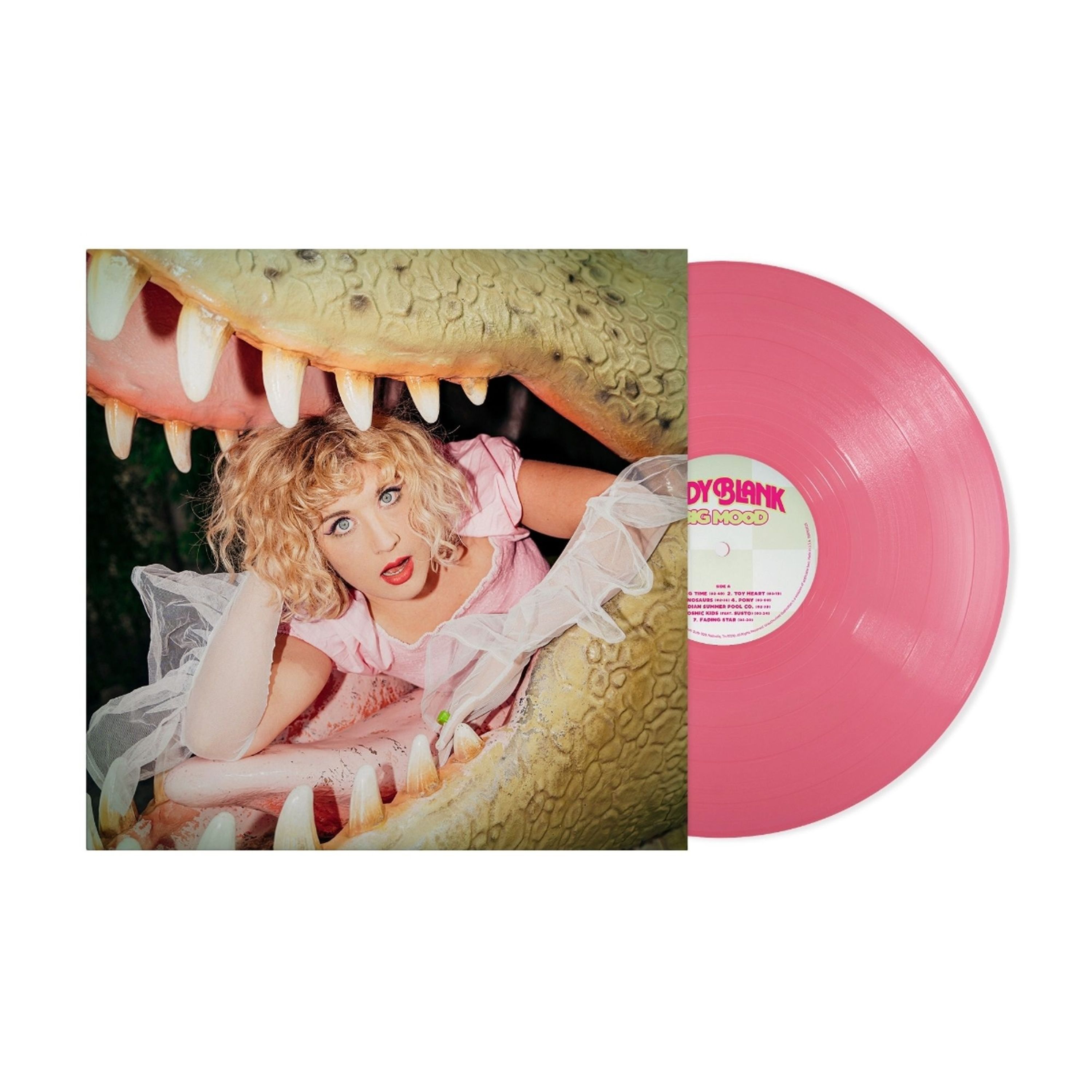 Vinyl Judy Blank - BIG MOOD
