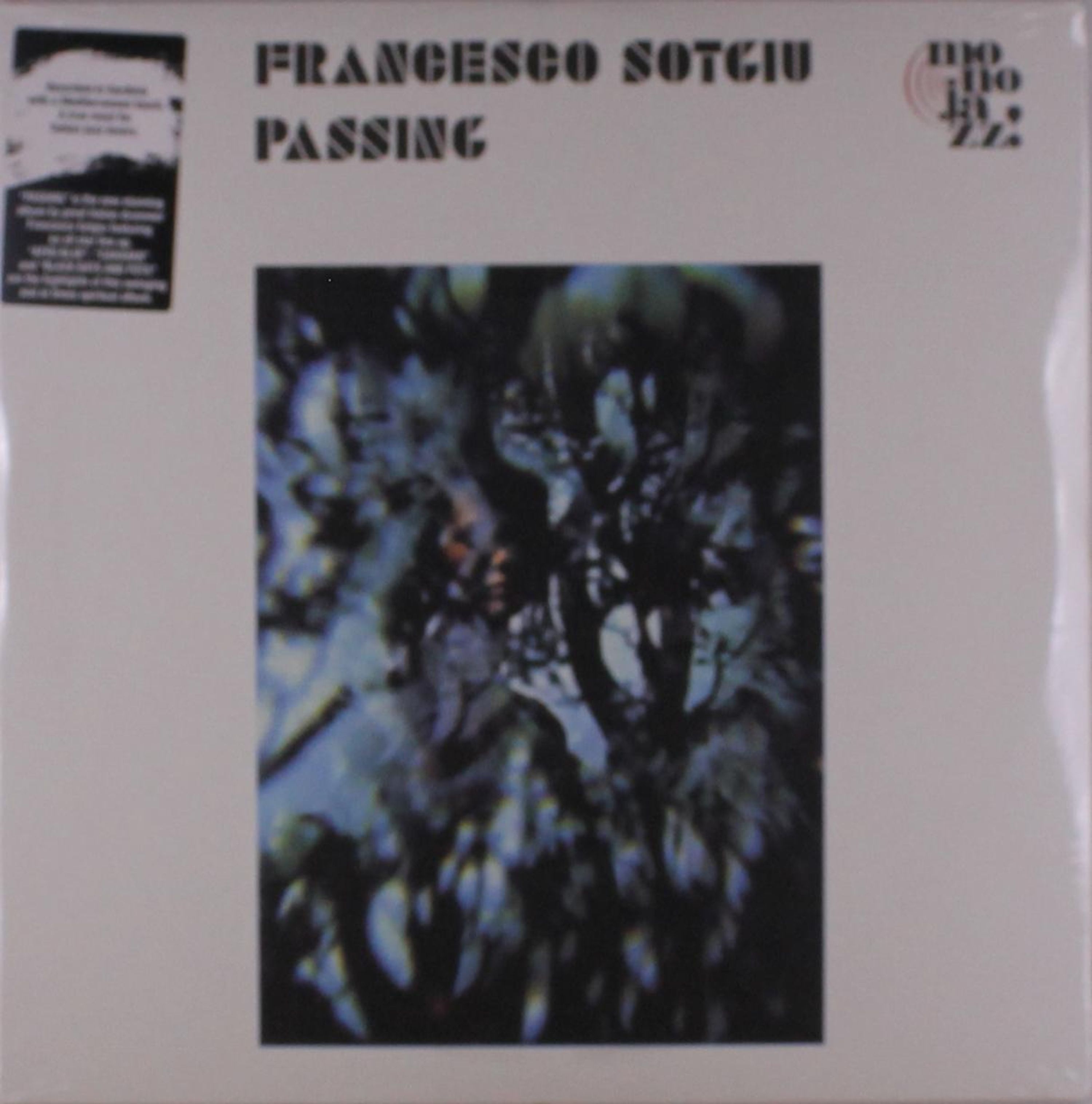 Vinyl - PASSING