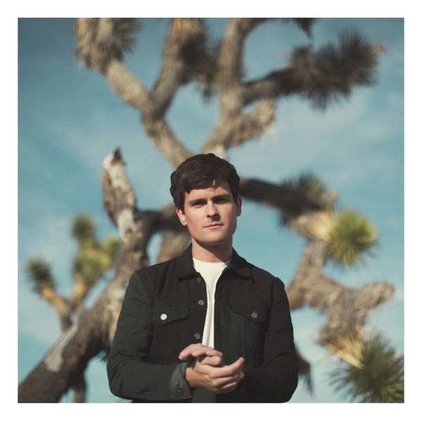 Vinyl Tom Speight - EVERYTHING'S WAITING FOR YOU
