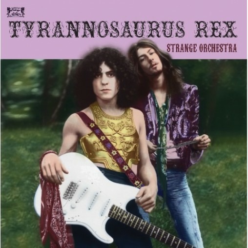 Vinyl T. Rex - Strange Orchestra (Tyrannosaurus Rex)
