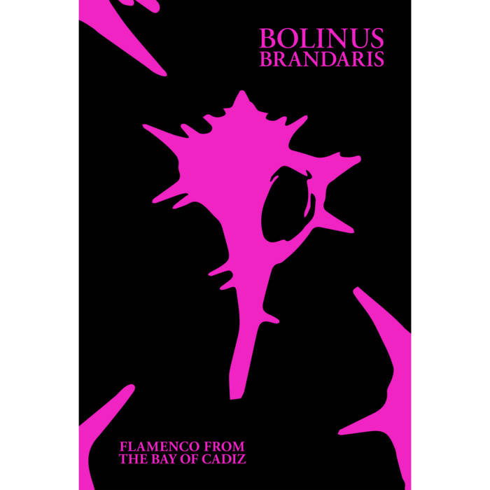 CD Various Artists - BOLINUS BRANDARIS: FLAMENCO FROM THE BAY OF CADIZ