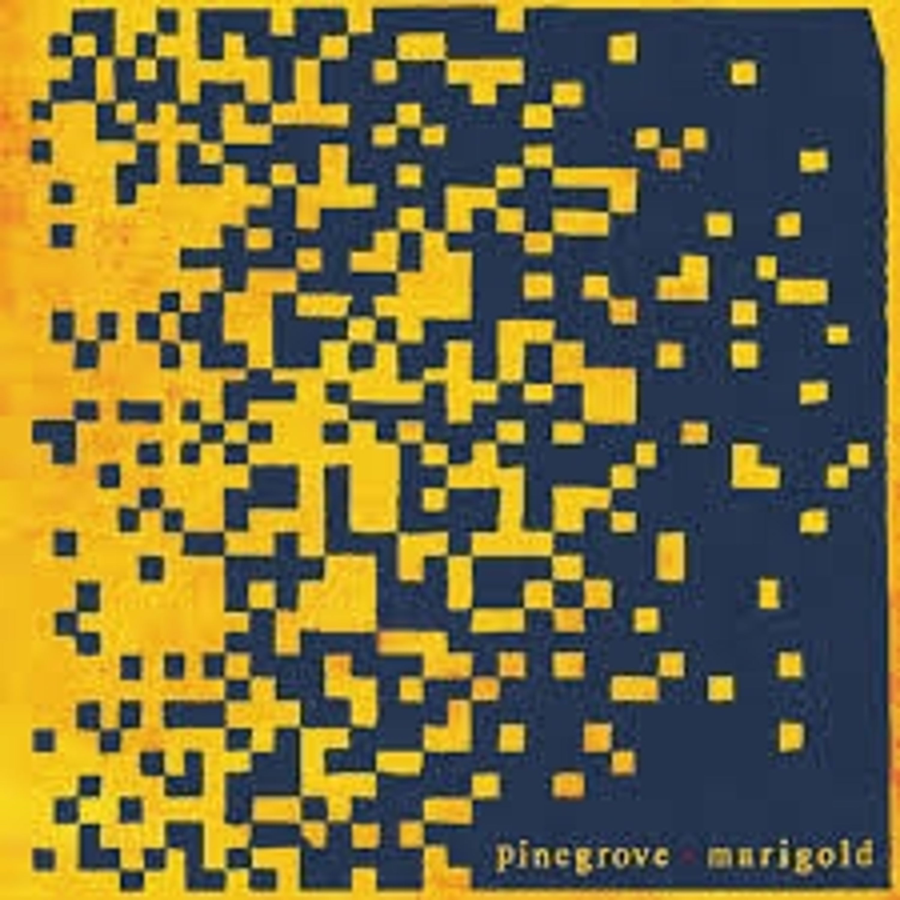 Vinyl Pinegrove - MARIGOLD