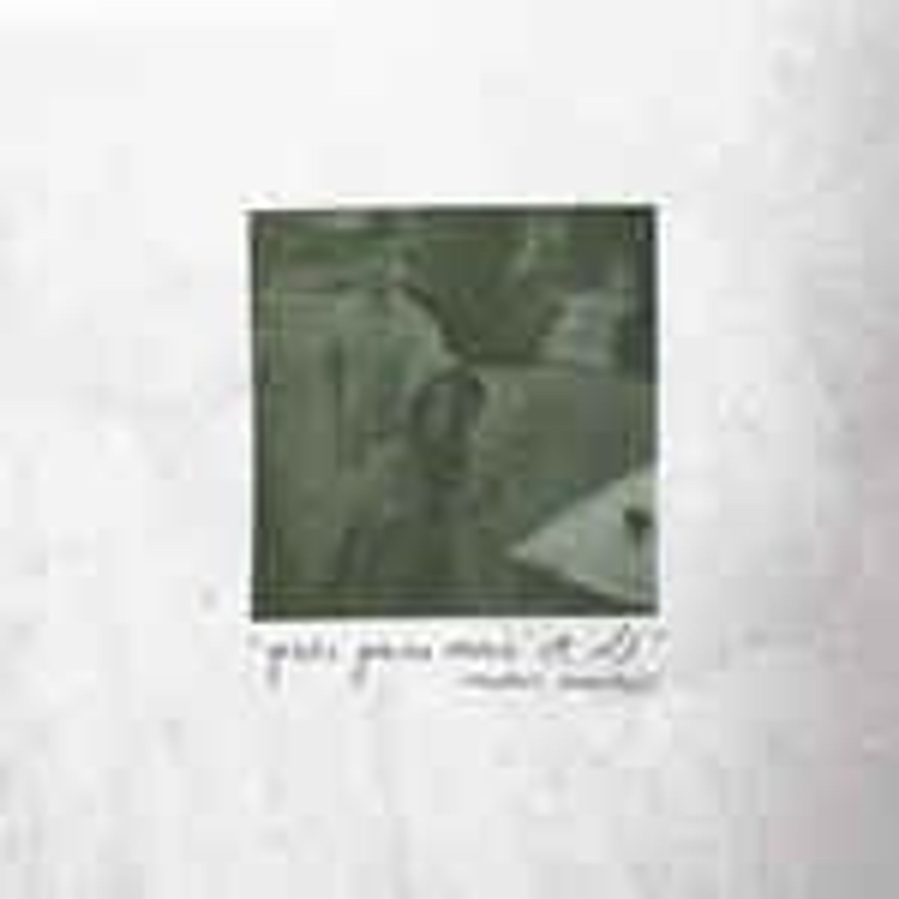 Kazeta Modern Baseball - YOU'RE GONNA MISS IT