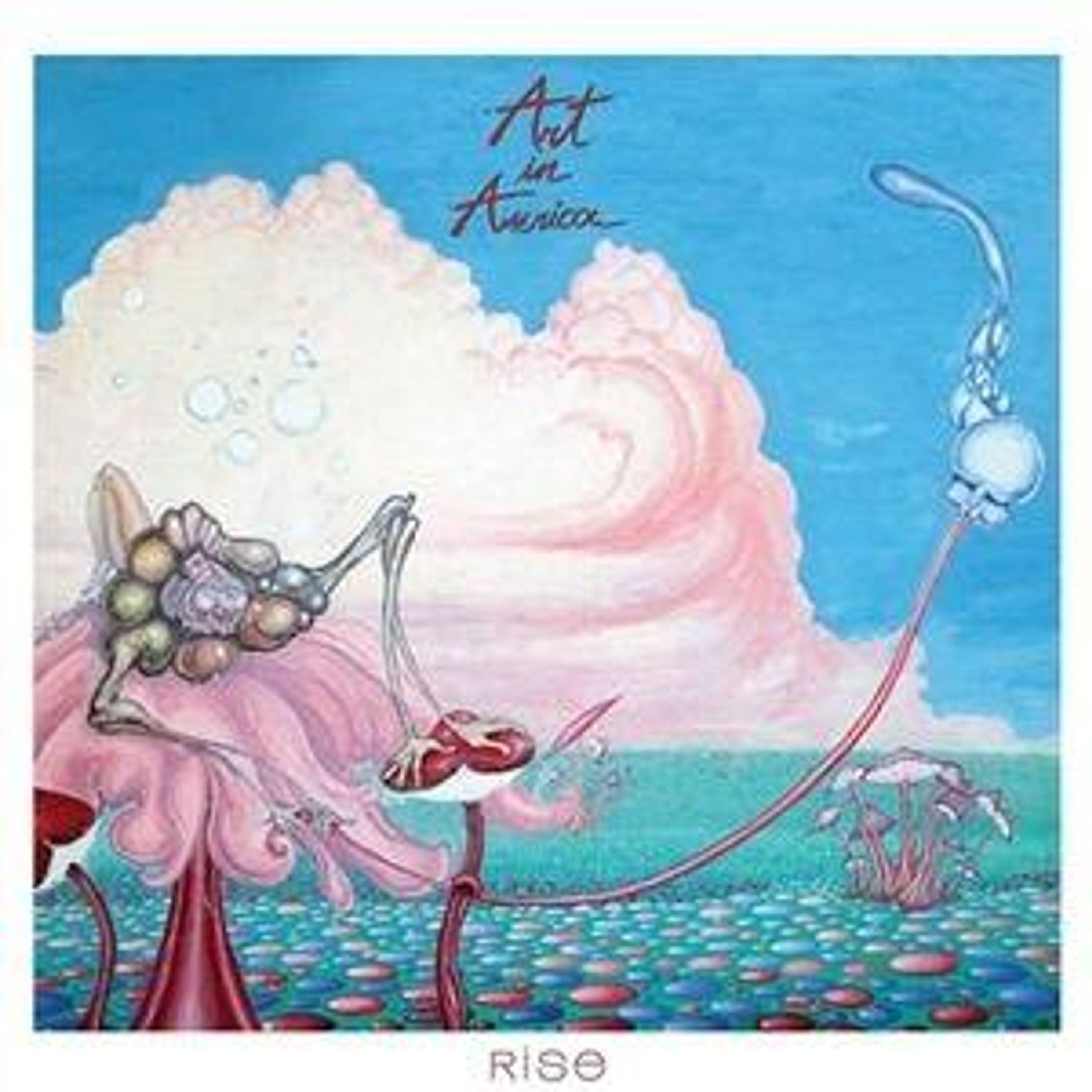 CD Art in America - RISE