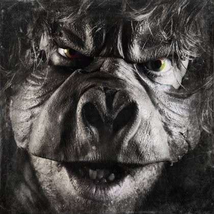 CD Malachai - BEYOND UGLY