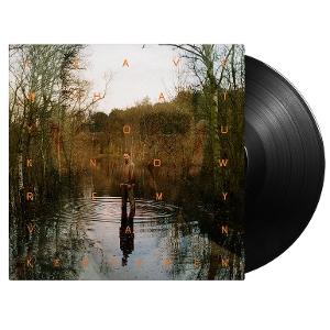 Vinyl Remy van Kesteren - LEAVE WHAT YOU KNOW