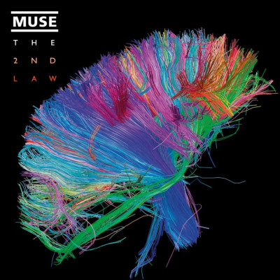 Vinyl Muse - 2ND LAW