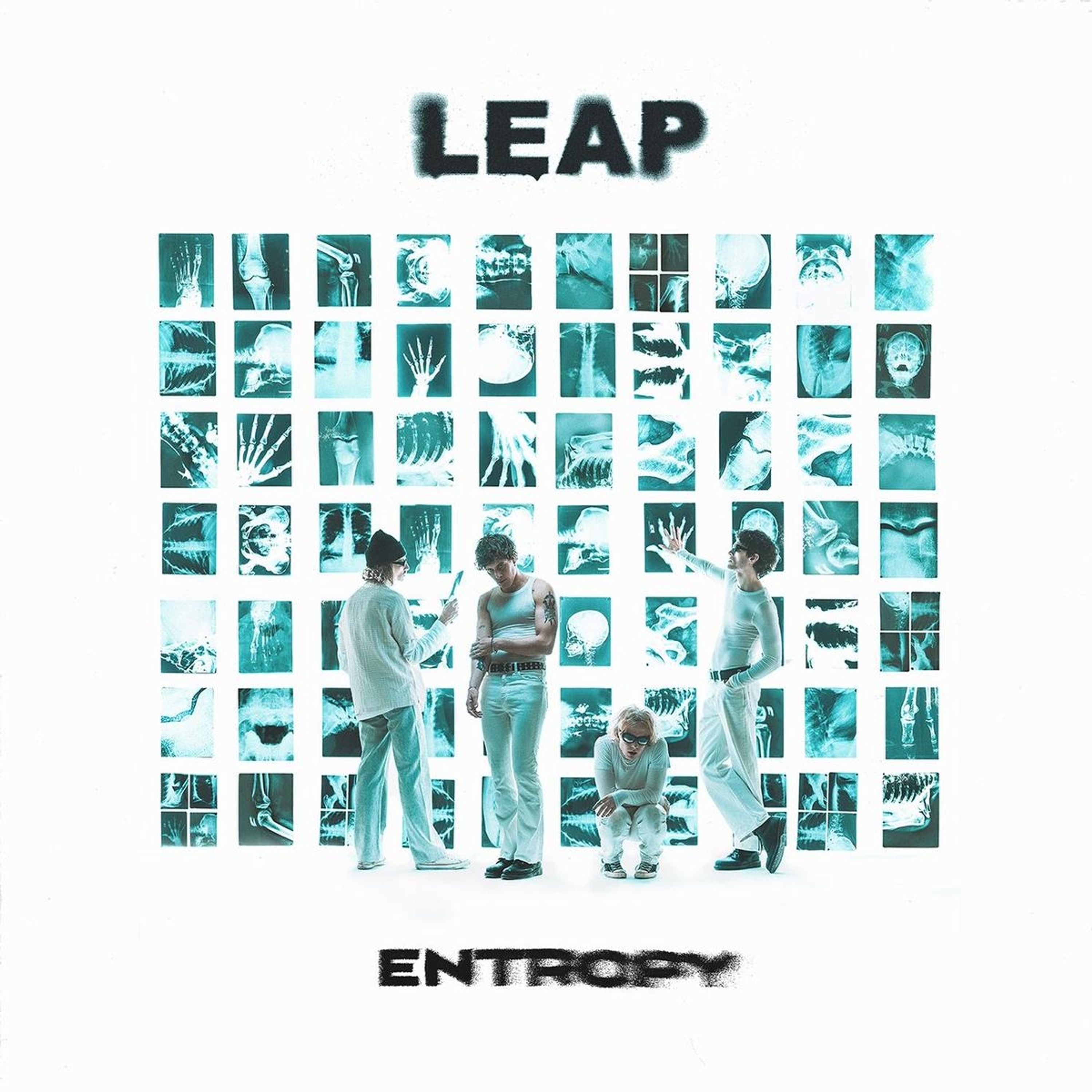 Vinyl - ENTROPY