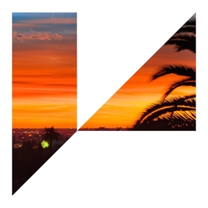 Vinyl L.A. Takedown - L.A. TAKEDOWN