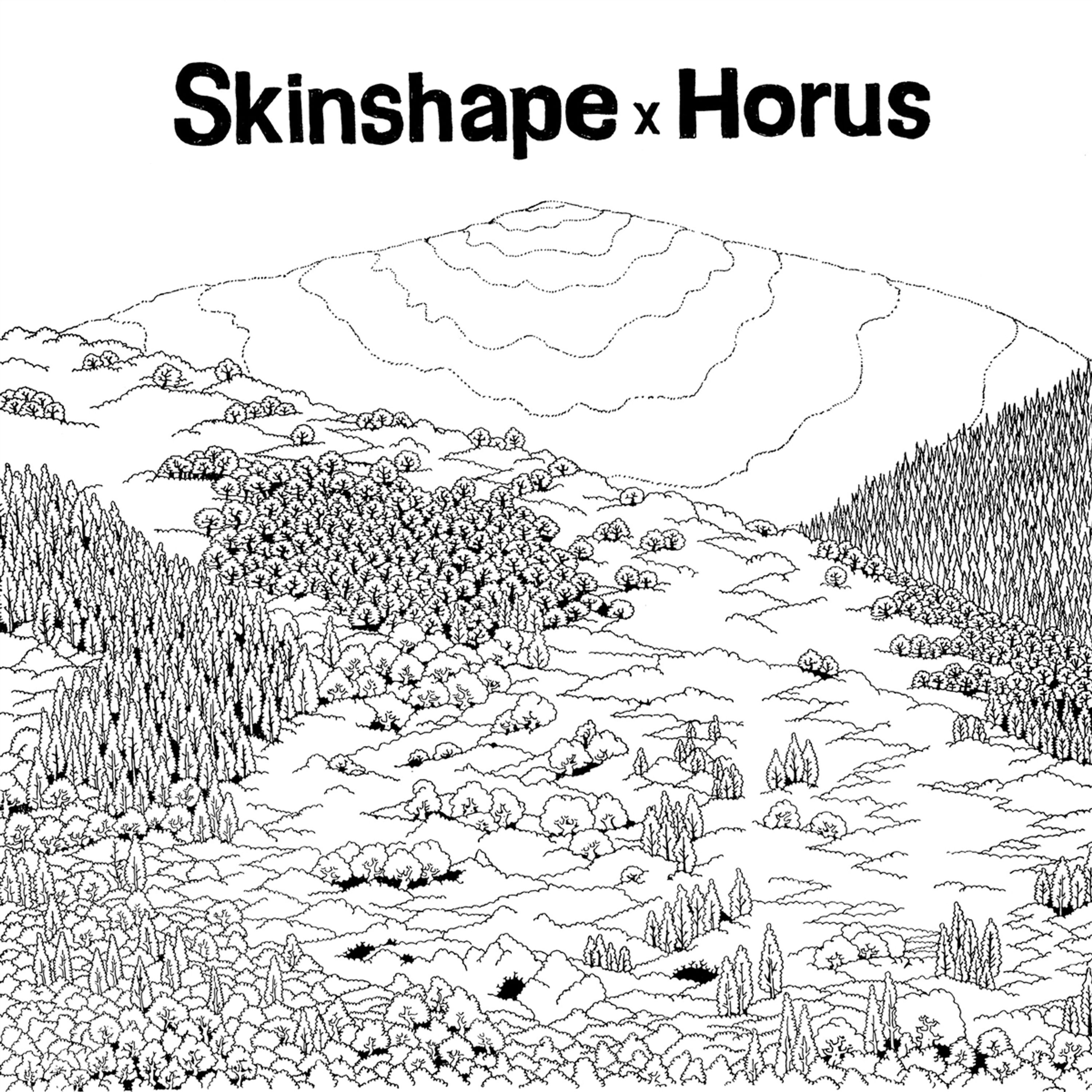 Vinyl Skinshape - SKINSHAPE X HORUS