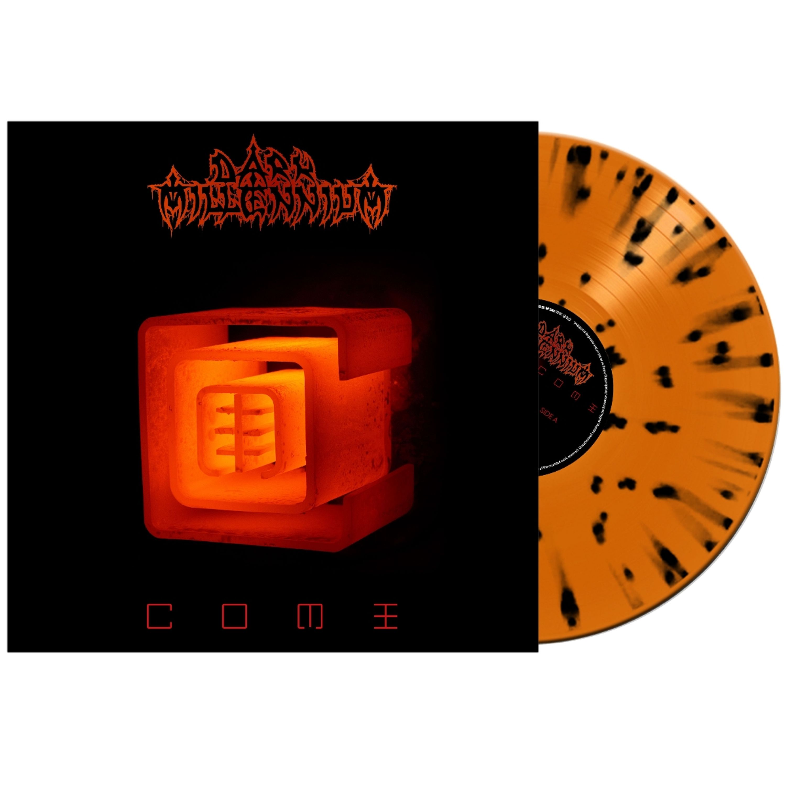 Vinyl - COME