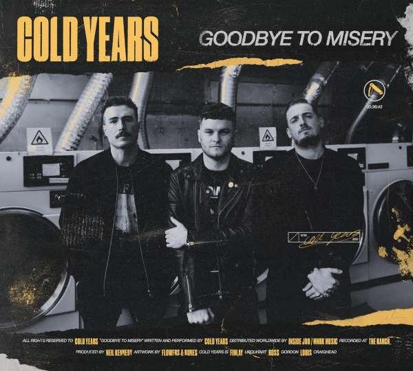 Vinyl Cold Years - GOODBYE TO MISERY