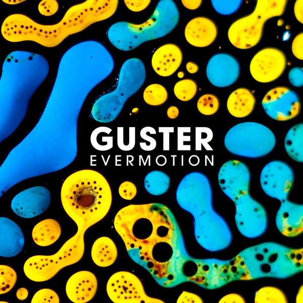 Vinyl Guster - EVERMOTION