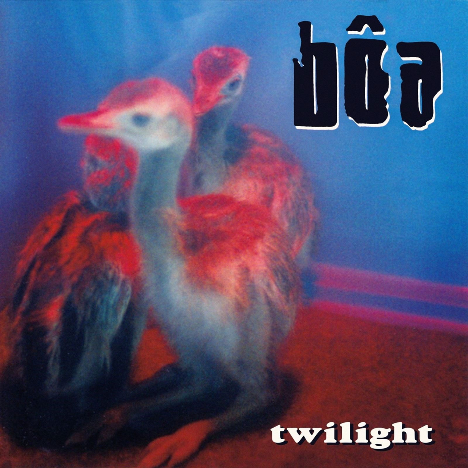Vinyl BOA - TWILIGHT