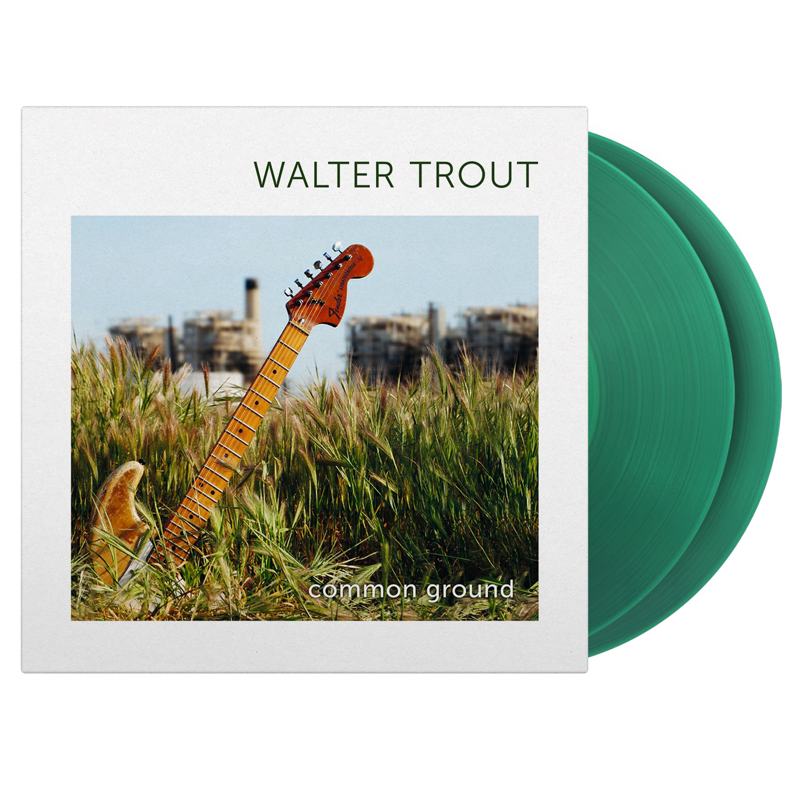 Vinyl Walter Trout - Common Ground