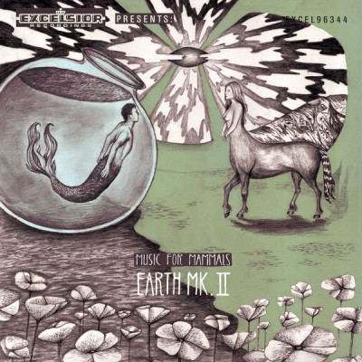 CD Earth Mk. II - MUSIC FOR MAMMALS