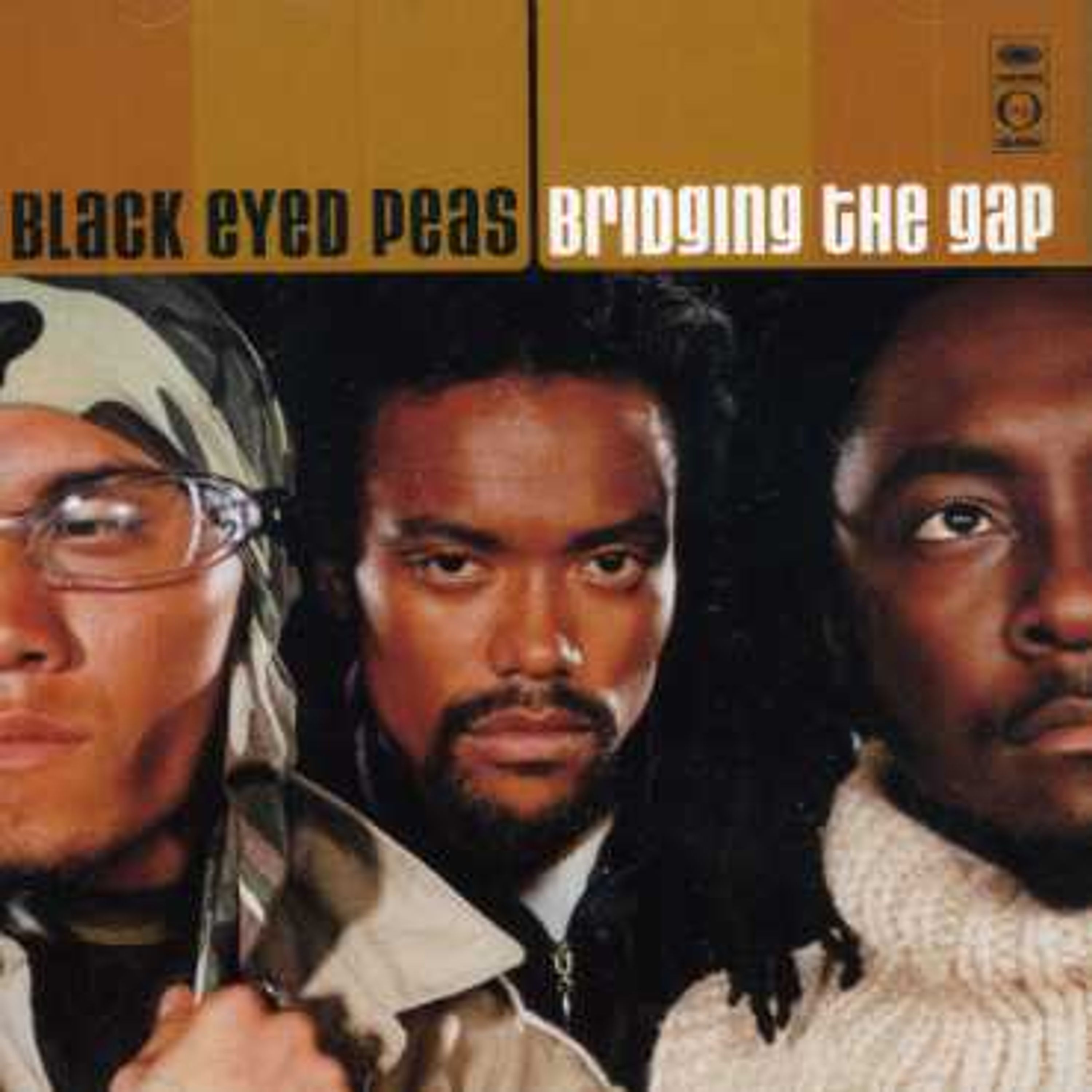 Vinyl The Black Eyed Peas - Bridging The Gap