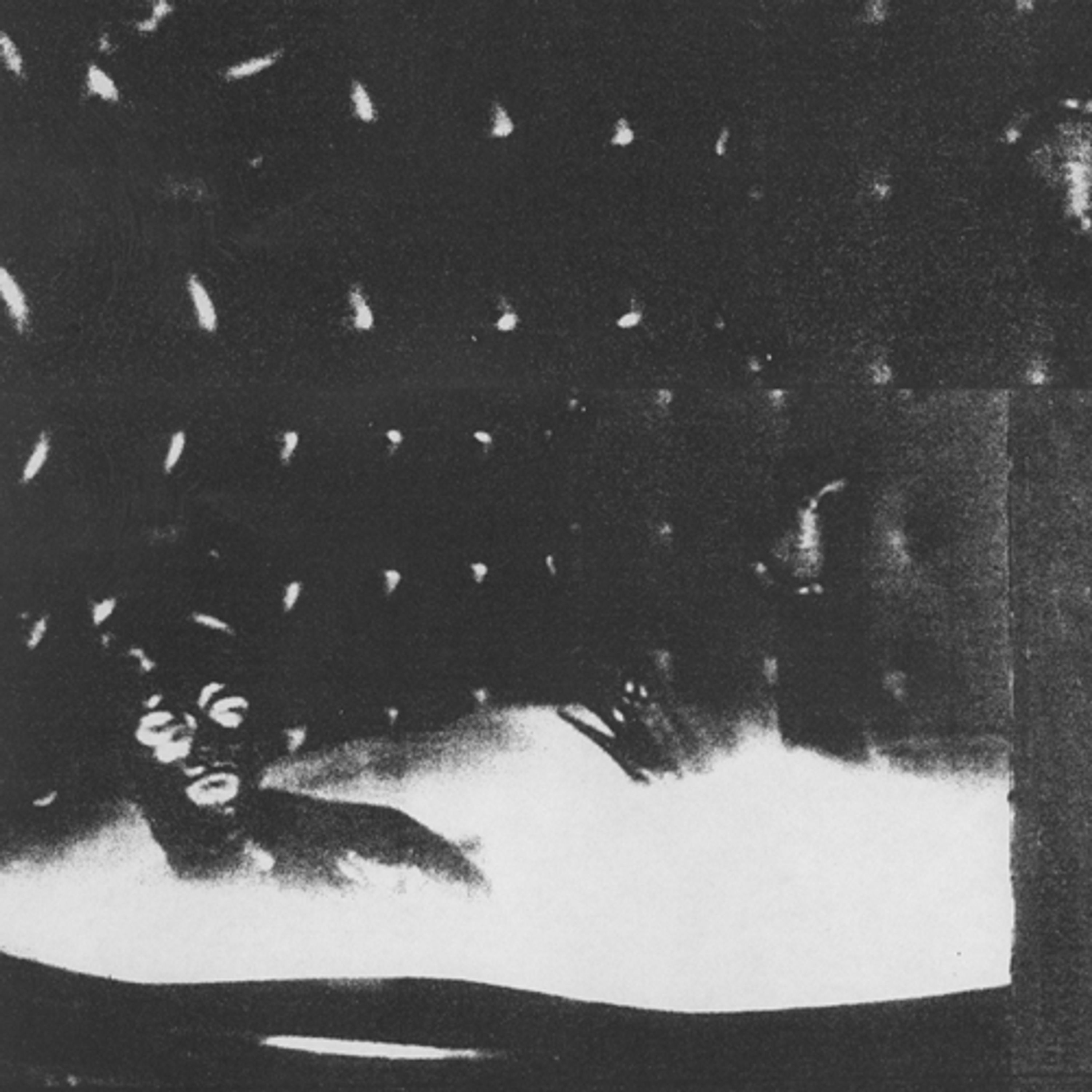 Vinyl Cindy Lee - MALENKOST
