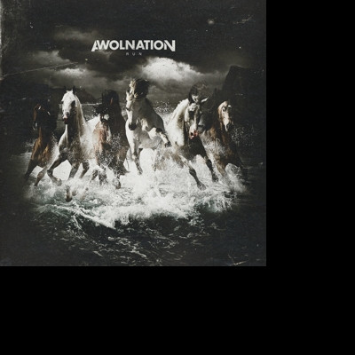 Vinyl Awolnation - Run