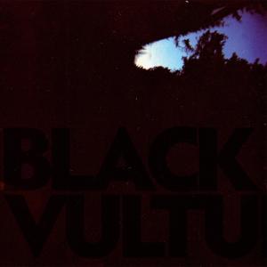 Vinyl Daniel Norgren - BLACK VULTURES