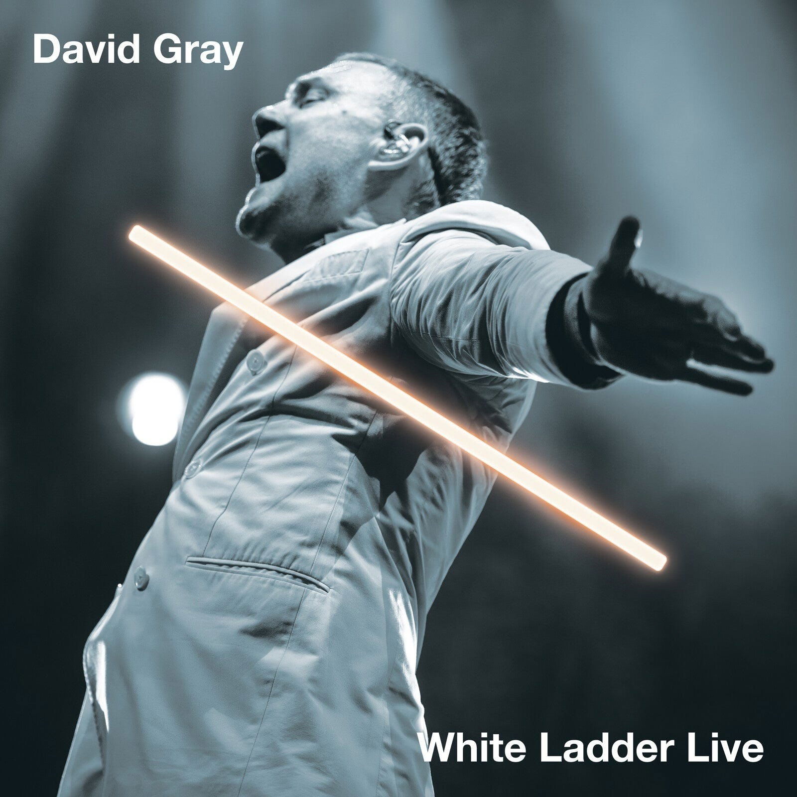 Vinyl David Gray - WHITE LADDER LIVE