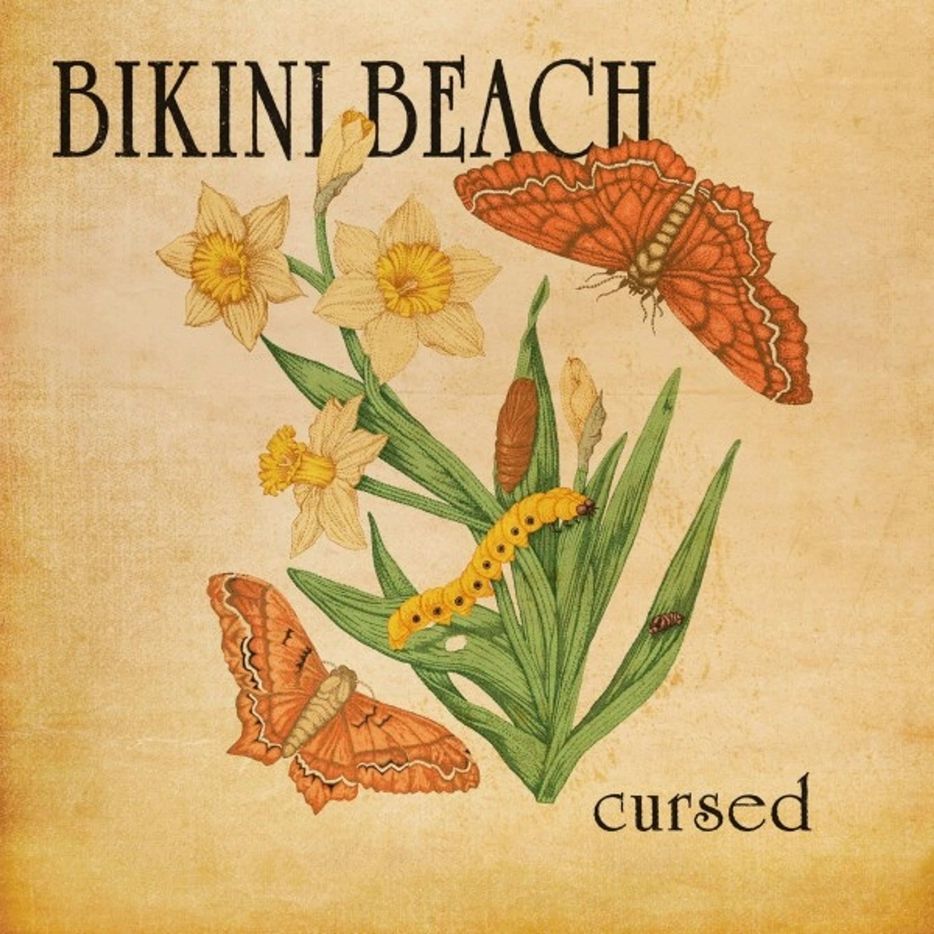 CD Bikini Beach - CURSED